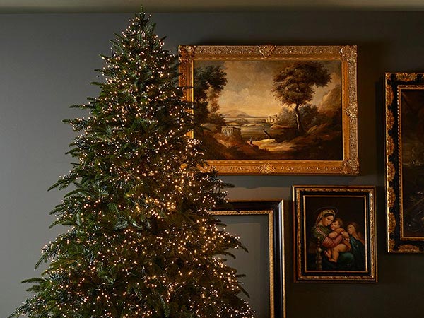 alberi-di-natale-per-como